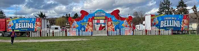 Rico bellini